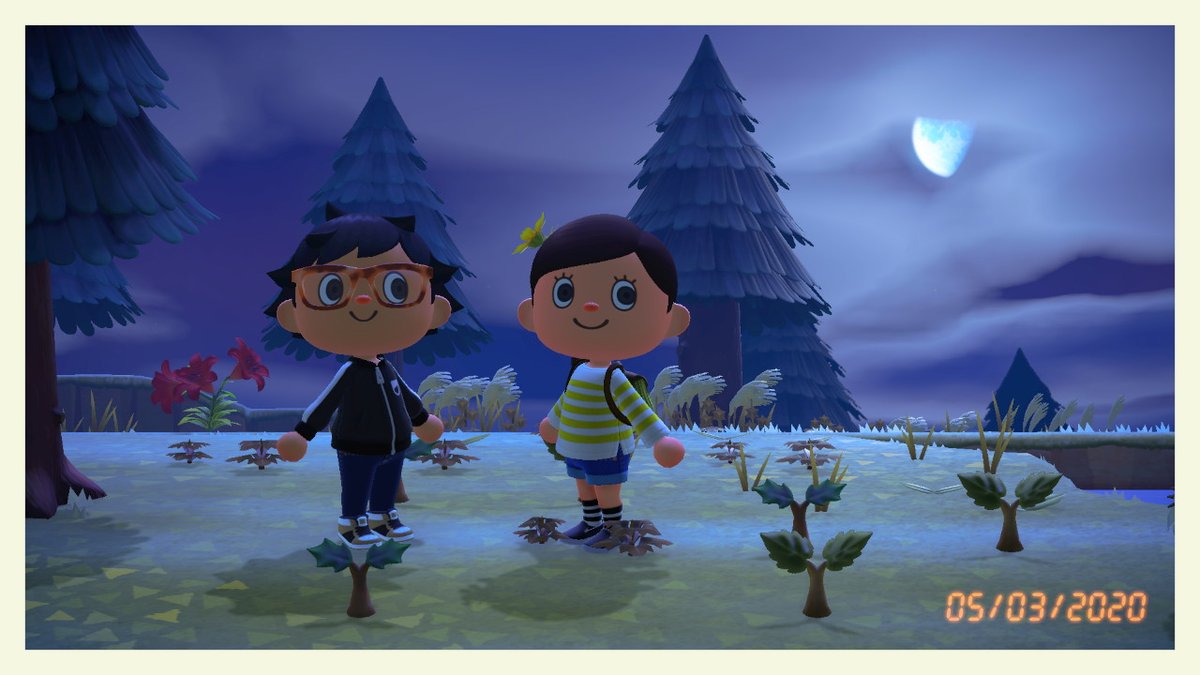 EdgarCortesA's tweet photo. #AnimalCrossing #ACNH #NintendoSwitch https://t.co/cI5KXlPsQv