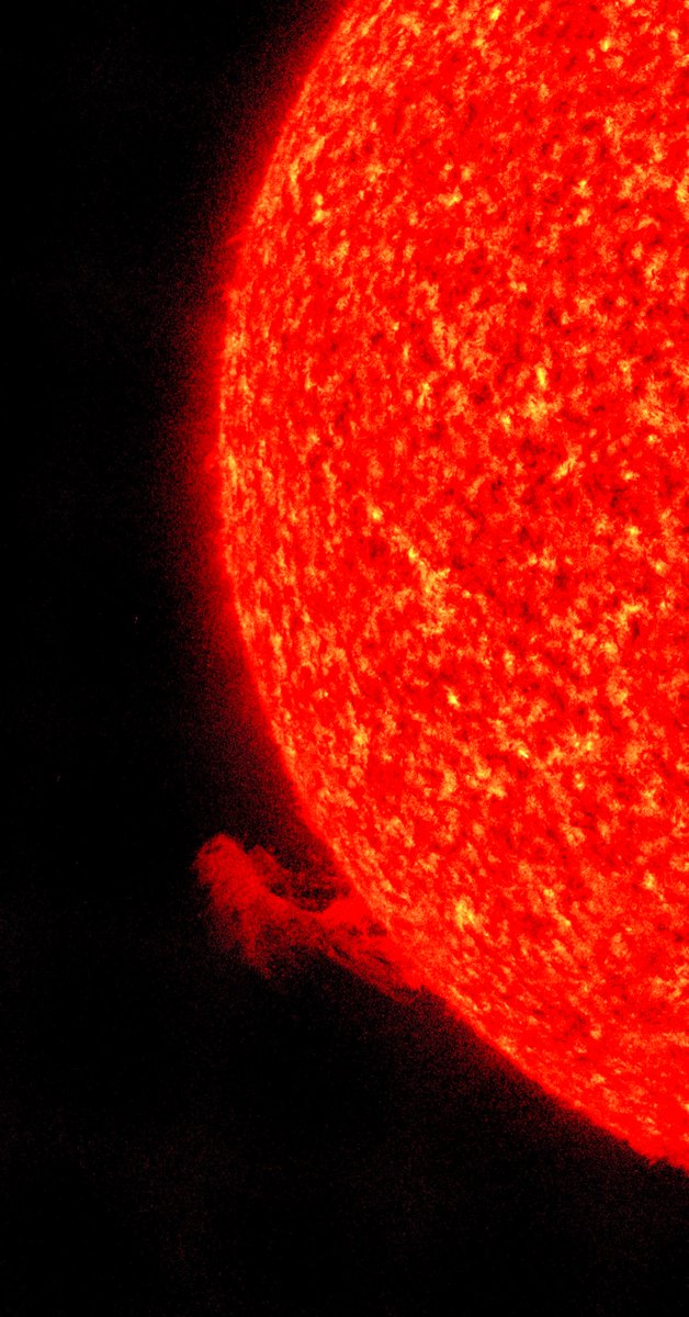 DLR_next's tweet photo. Guten Morgen zusammen - wie immer mit einem Livebild der Sonne via Satellit SDO. Heute mal auf eine recht spektakuläre Eruption gezoomt, die weit ins All hinausreicht. Gut dass unser Planet die Abstandsregel von 150 Millionen Kilometern einhält! 😂 https://t.co/VV4W75MkcR
