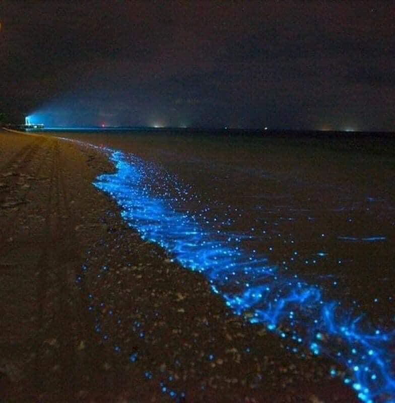 SQCS Radio y Televisión tweet media