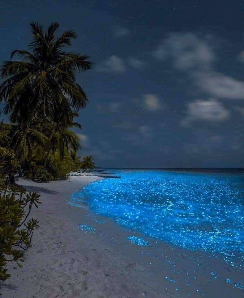 SQCS Radio y Televisión tweet media