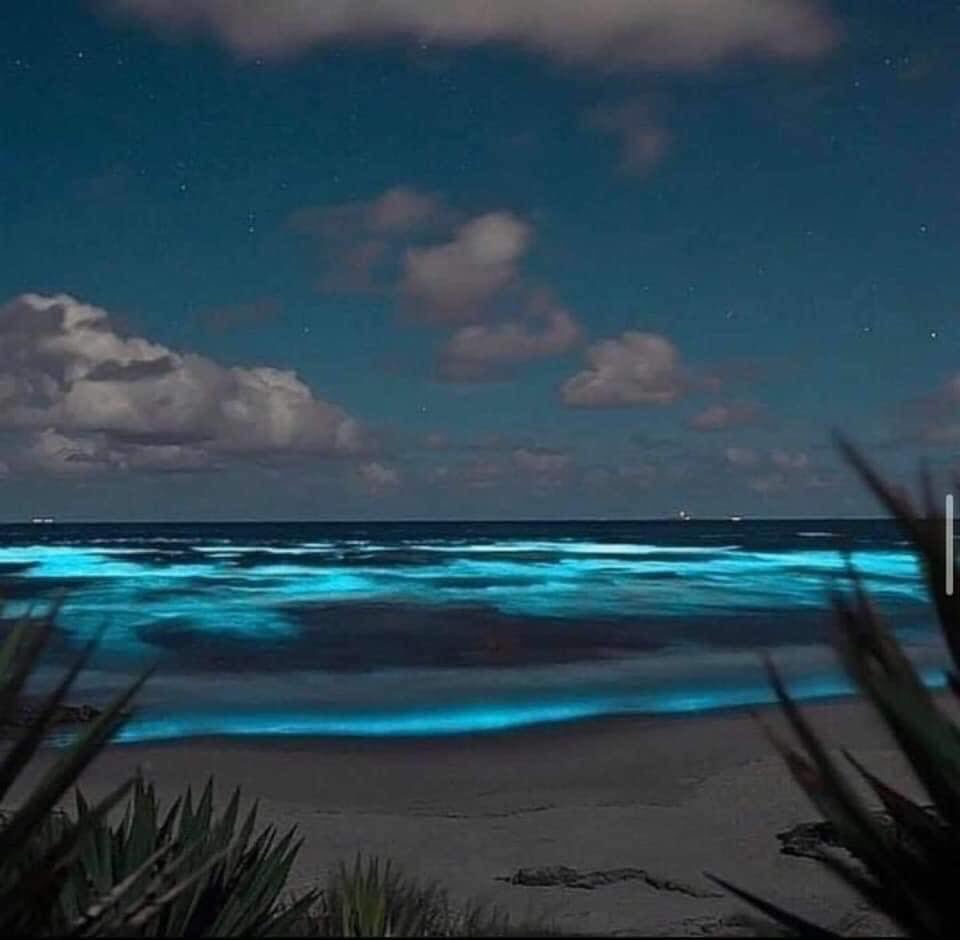 SQCS Radio y Televisión tweet media