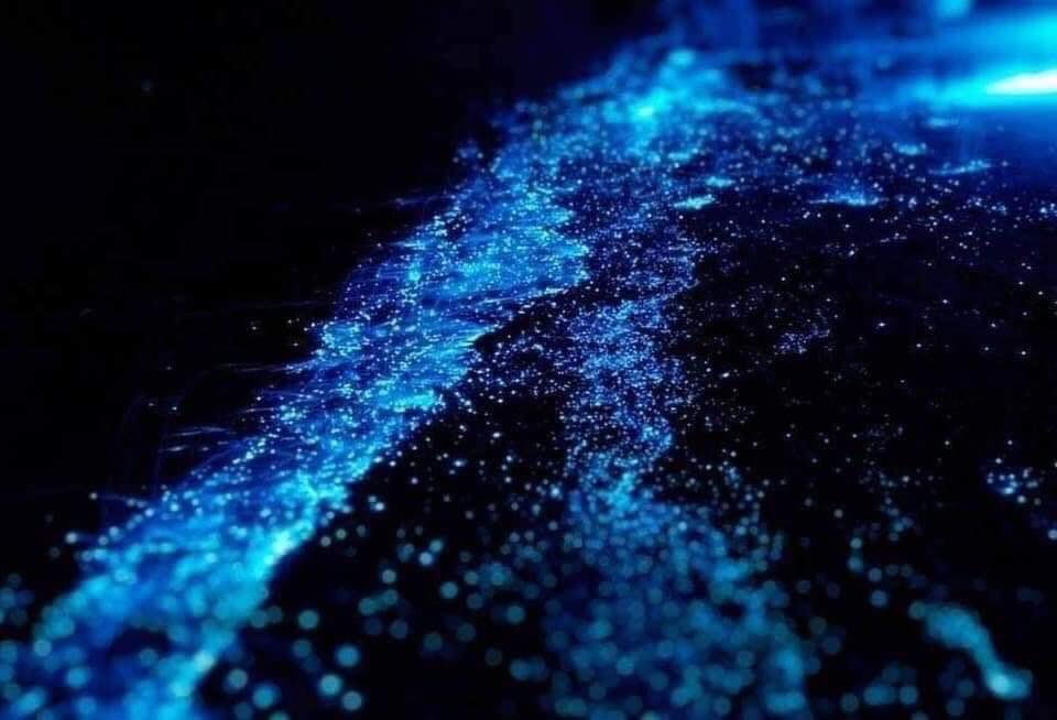 SQCS Radio y Televisión tweet media