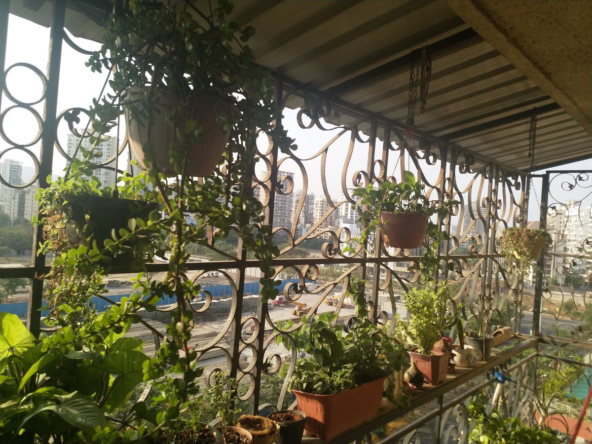 jagganeeraj tweet picture