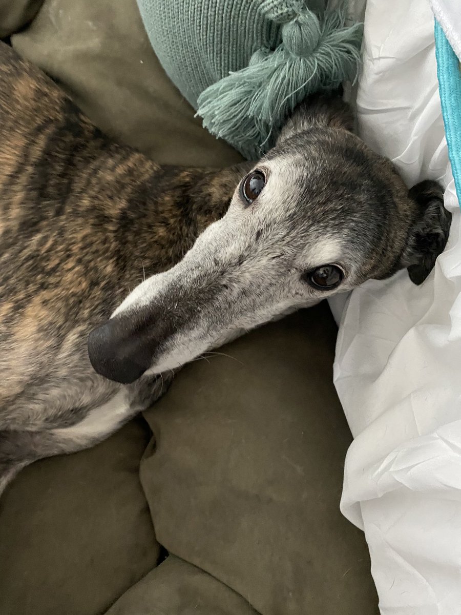 John Doe tweet media