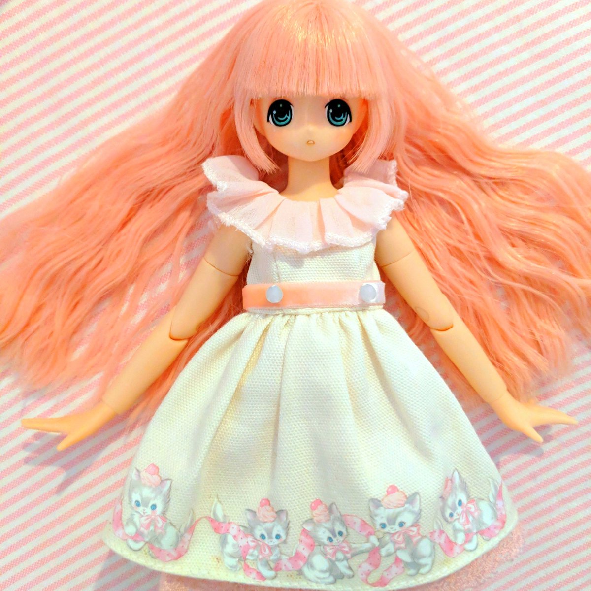 awa_mallon's tweet photo. ちいかちゃんハッピーバースデー🎁🎉💓
#ChiikaBirthday #アゾカツ #azonejp #ドールオーナーさんと繋がりたい https://t.co/SzrIsi4mDx
