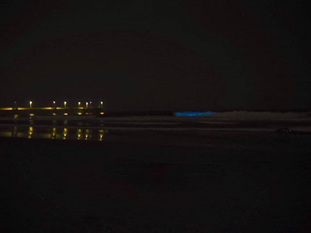 @patio_over_the_ocean and I drove all the way to the coast at night just to see this amazing bioluminescence we've been seeing on the news and hearing about from friends by the water. We were simply missing the ocean too…

📸 instagram.com/p/B_yzZoIFLXq/ via tweet.photo