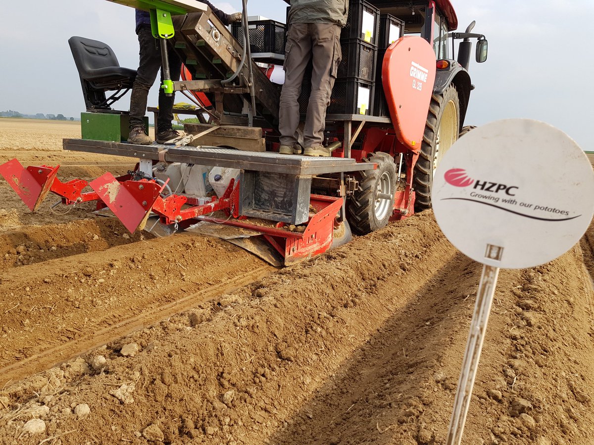 SebChaveron's tweet photo. Plantation des essais 2020 terminée 🥔🚜🏁 https://t.co/d7GsJLBM1p