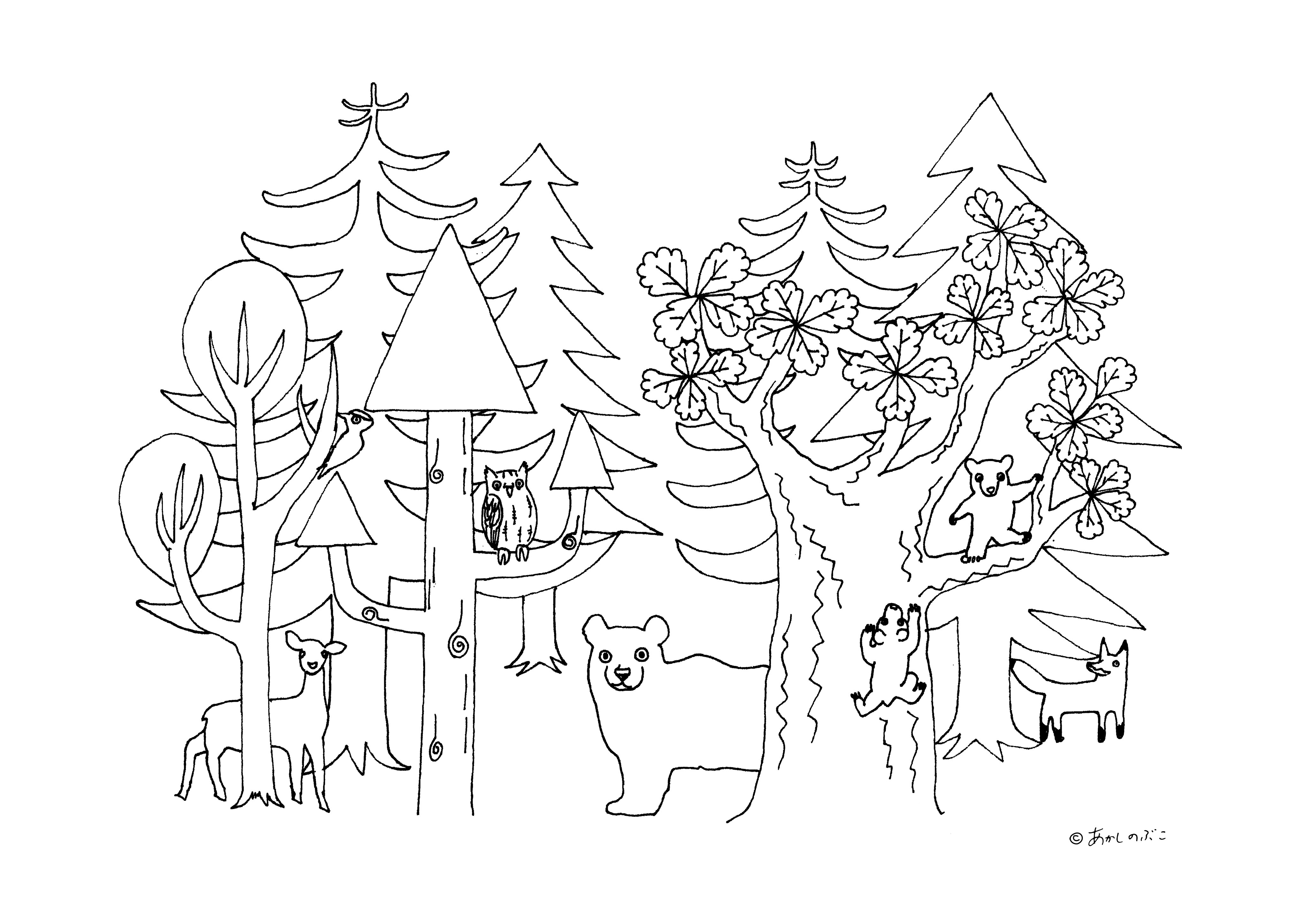 知床自然センター あかしのぶこさんからのメッセージ ここに描いたのはすべて知床に住むいきものです 木 もですよ どれがなんの木でしょうか そしてあなたの塗る色で ただの線画が季節も春夏秋冬と変わるでしょう 楽しんでいただけたら幸い