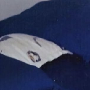 โมเม้นนี้น่ารักจริง หมอนสีขาวใบเล็กที่วางคั่นหมอนใบใหญ่ของคุณพ่อคุณแม่ แจฮยอนนอนตรงนั้นเอง นอนคั่นกลางเลย เอ็นดู