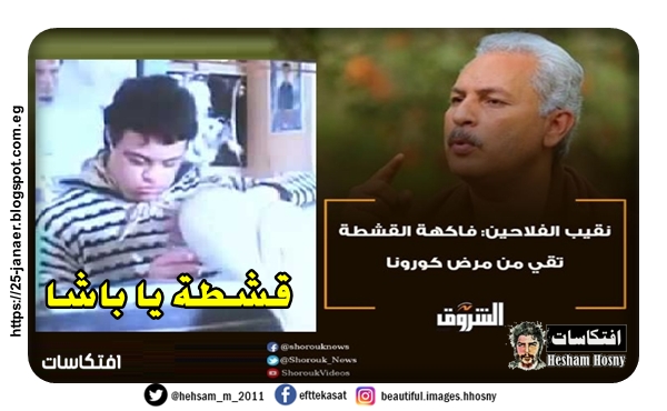 قشطة يا باشا