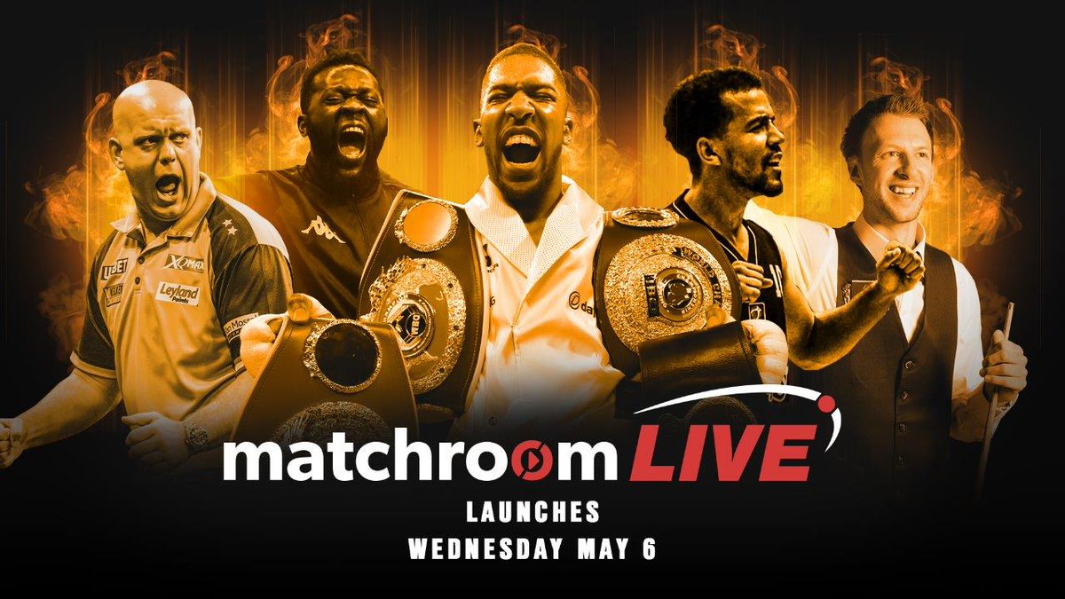 All-Stars Basketball tweet media