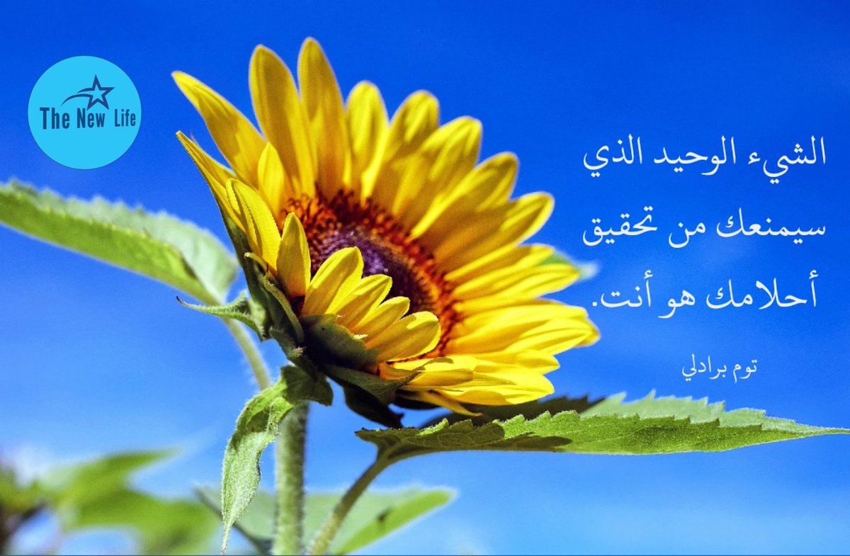 _TheNewLife_'s tweet photo. الشئ الوحيد الذي سيمنعك من تحقيق أحلامك هو انت.
#تطوير_الذات #حقيقه_يجب_ادراكها #الثلاثاء #رمضان_2020 #اهدافك https://t.co/r6D5YlpEQV