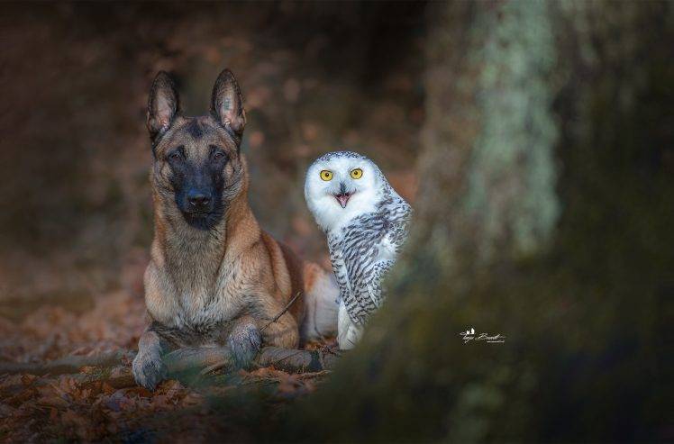 Marietta117's tweet photo. #HeyThereFriends #transformationtuesday #beyou #beyourawesomeself #naturesbeauty #staysafe #greatday π https://t.co/LHuyojjCuL