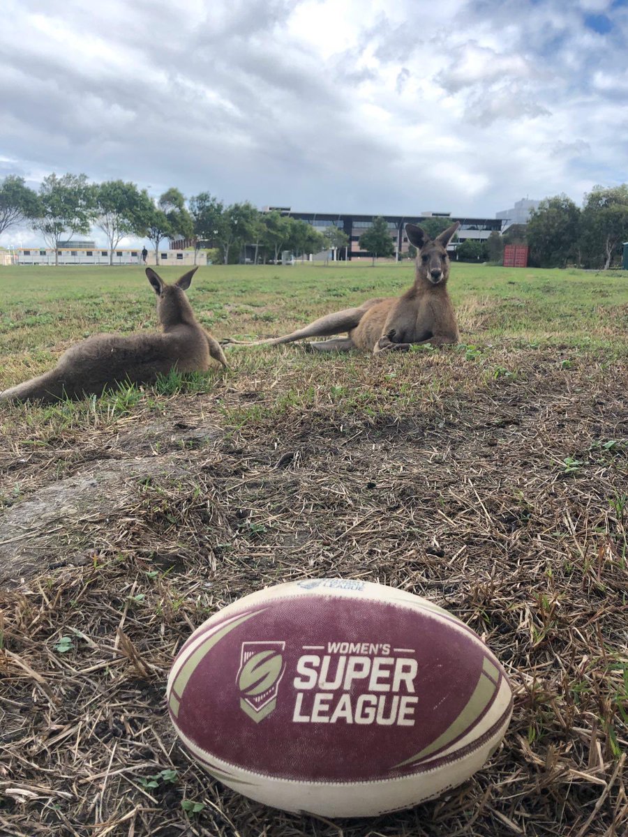 leedsrhinos's tweet photo. Leeds Rhinos Women’s captain @CorkaHill is getting her training in whilst at home in Australia and sent us these pictures of her spreading the word about the Women’s @SuperLeague to some of the locals! 🇦🇺 #TrainingDownUnder #LeedsRhinoSWRL https://t.co/Zv35i7goOh
