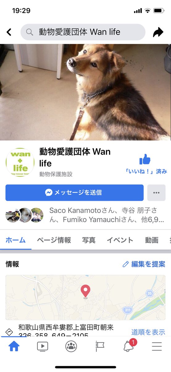 Rootstock 犬21匹猫10匹レスキュー完了 夫婦でブリーダーをしていたが60代で離婚しブリーダー業もままならずあげく旦那さんの働いていた会社がコロナの影響で倒産 職をなくし 犬猫に食べさせるご飯も買えず知り合いにお金を貸して欲しいと相談