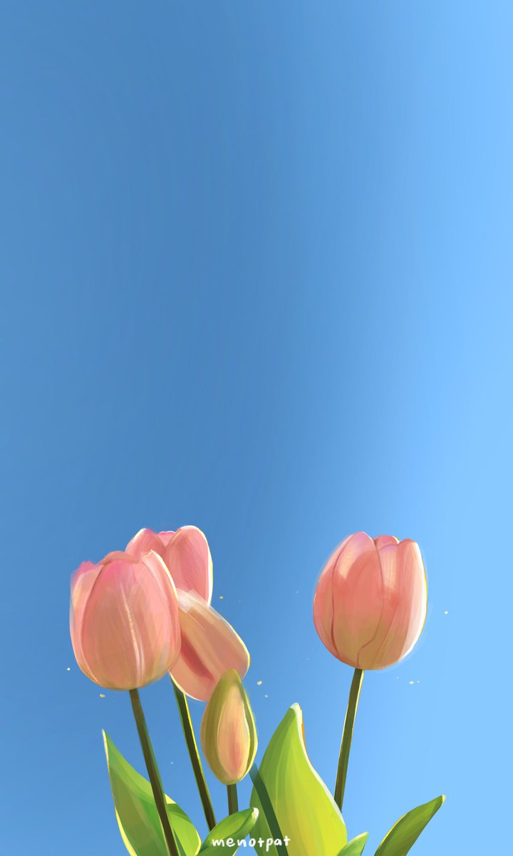 menotpat's tweet photo. เอาน้องไปทำวอลเปเปอร์มาแจกค้าบ เพิ่มน้องสีขาวมาด้วยย🌷🌷 https://t.co/FT9l0ZdhNR
