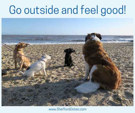 sheffordosteo's tweet photo. There is a growing body of evidence that indicates connecting with natural environments is linked to better health and wellbeing. How much time do you spend outside enjoying nature? Will it make a difference to your wellbeing? Find out: https://t.co/3hxXBQPd3z https://t.co/gqXkAYhpe5