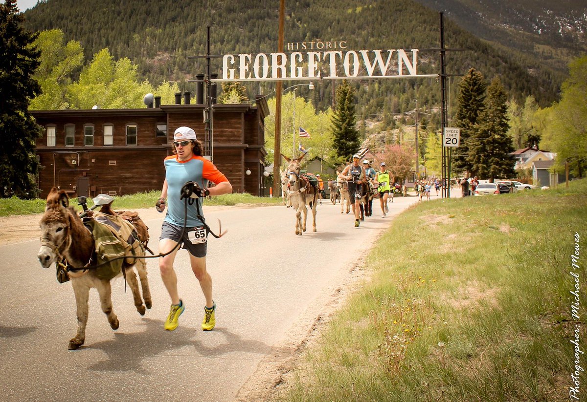ATRAtrailrunner's tweet photo. In #trailrunning adjacent news.......Pack Burro Racing Community Stays Strong During the Coronavirus Pandemic. @tayte_pollmann interviews Brad Wann of the Western Pack Burro Ass-ociation. #BurroRacing #Colorado 👉👉https://t.co/DzPkkIu4EW https://t.co/nWXiLhN3SH