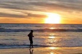 bangtan_nano's tweet photo. my sunset with winter bear.
(feat Taehyung and his ego dance)
#ArmySelcaDay #ARSD @BTS_twt https://t.co/NDpxO9YIOQ