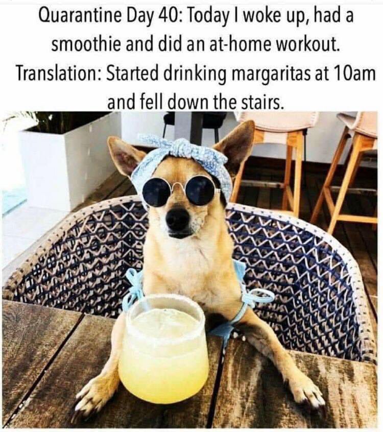 Savage__Meg's tweet photo. Happy Cinco de Mayo.
#TacoTursday on
#CincoDeMayo during a
#CoVid19 #Pandemic.
#05May2020
#Margarita dranking...
#DayDrinking!
💙💛🧡💚💙💛🧡💚
#GoBraves #ChopOn #BringBackTheChop
#GoDawgs #ATD https://t.co/LQaREZXtiK