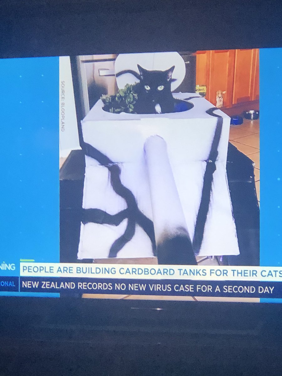 GAMESHOWW's tweet photo. This is news? Stop wasting my time. @YourMorning #fluff #ctvfail #worstcrewever #yourmorning #FireJessAllen https://t.co/cHWyrNDCqR