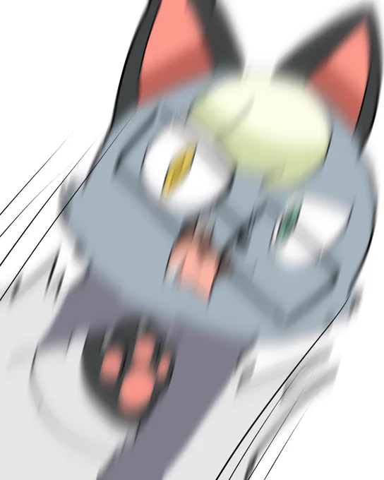 パニーのスタジオで撮影(?)にゃんこ? 