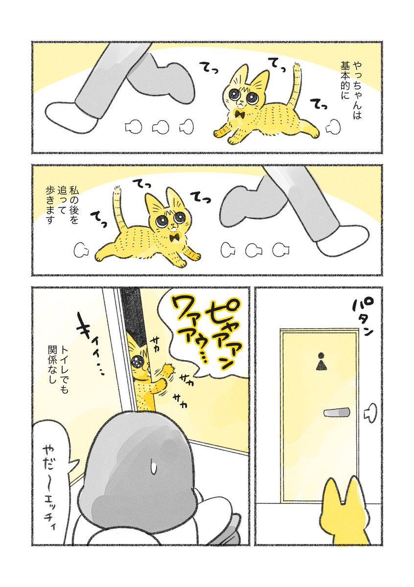 やっちゃんとウォシュレット事件 