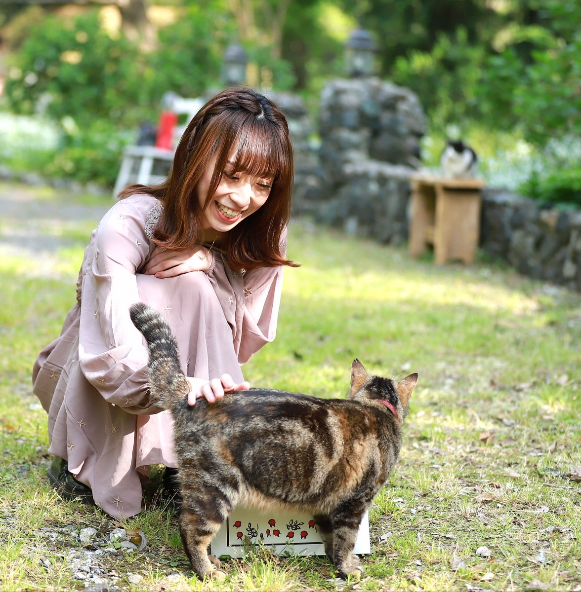 haluhico7's tweet photo. Welcome to MOFUMOFU time.

モデル:望月優実さん
#モフモフ #もふもふ #キジトラ #ハチワレ #しっぽがピーン https://t.co/Teg3kqhINH