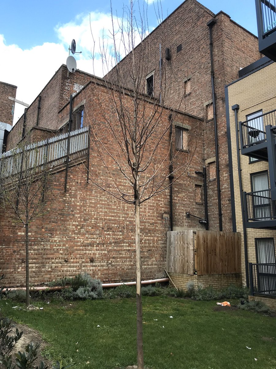 russell miller tweet media