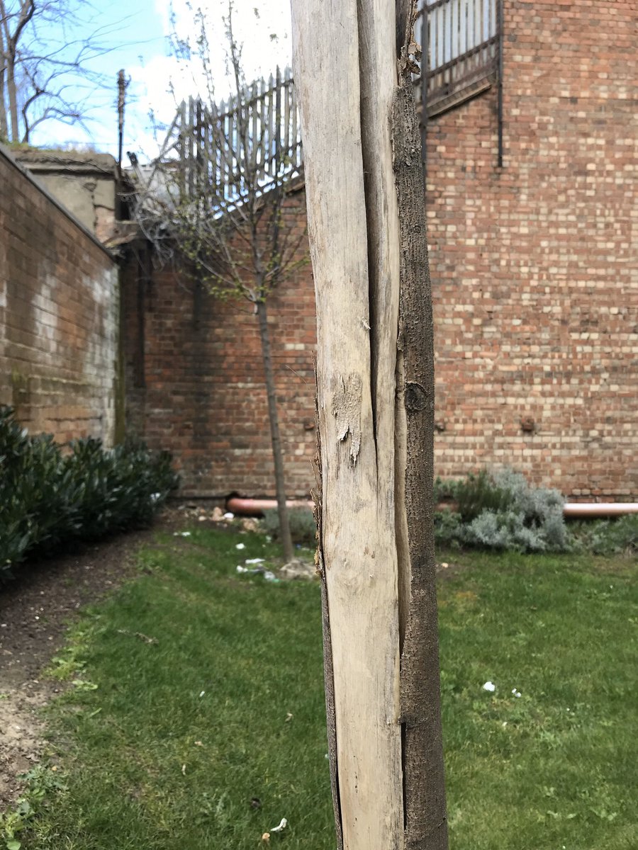 russell miller tweet media