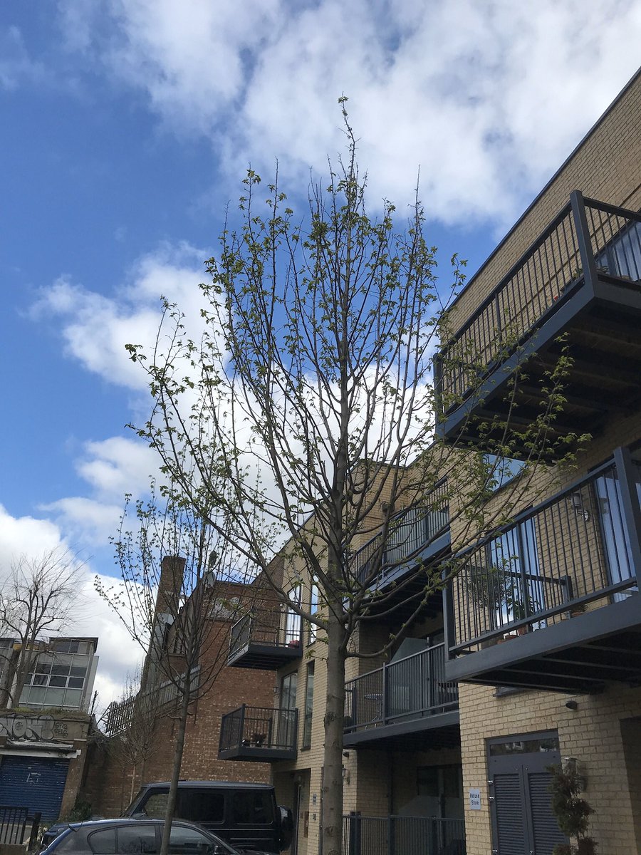 russell miller tweet media