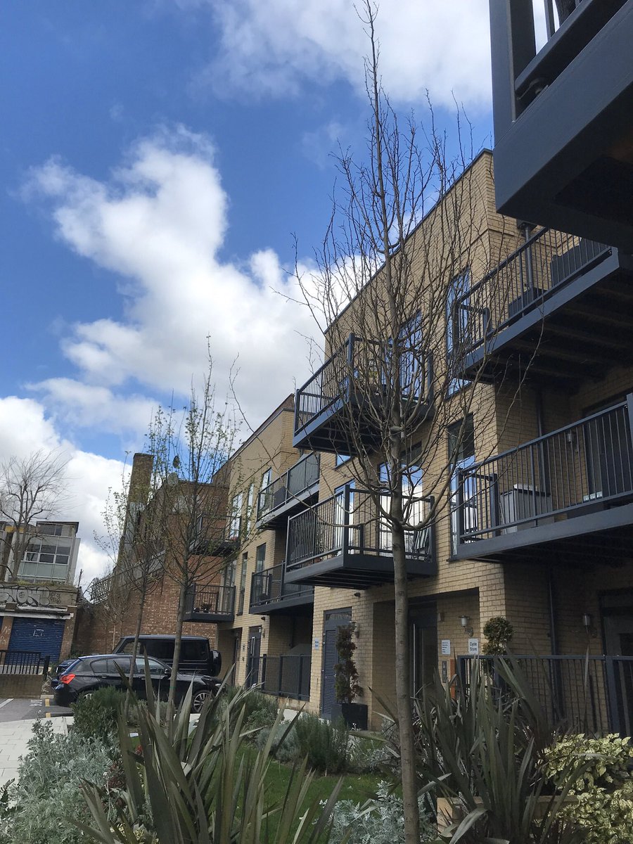 russell miller tweet media