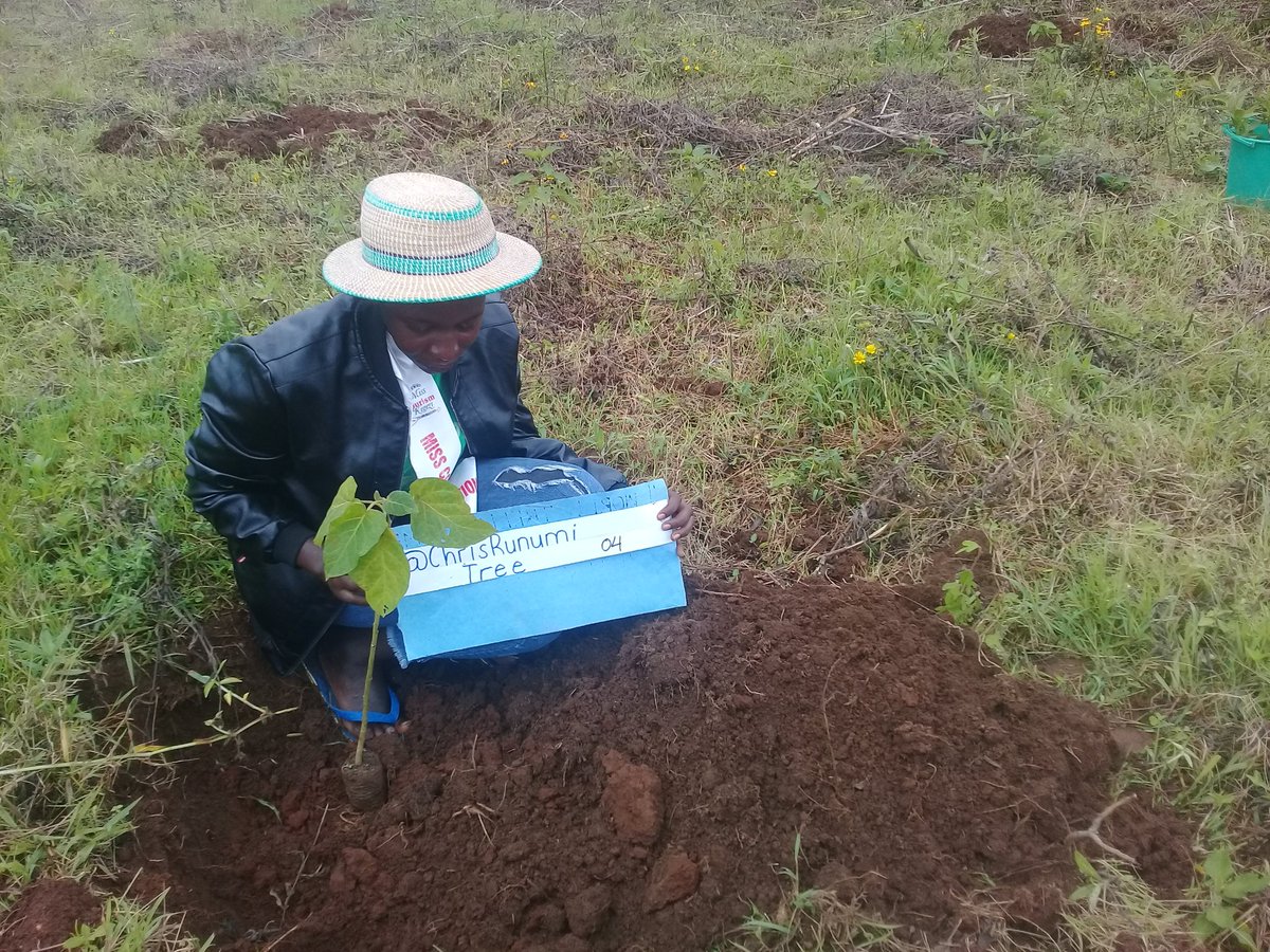 MourineAsiimwe's tweet photo. I plant a tree for every new follower. No.4
@ChrisRunumi
#WorldEnvironmentaDay #missconservationKigezi #climateaction #plantaPlantHope>#10milliontreesinUg #modelgarden #GreeningUganda https://t.co/2epe1sKJKl