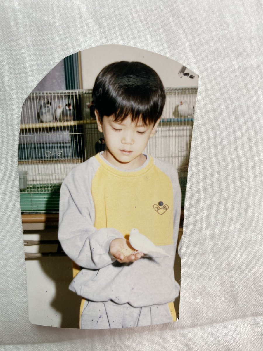 THE BOYZ (더보이즈) tweet media