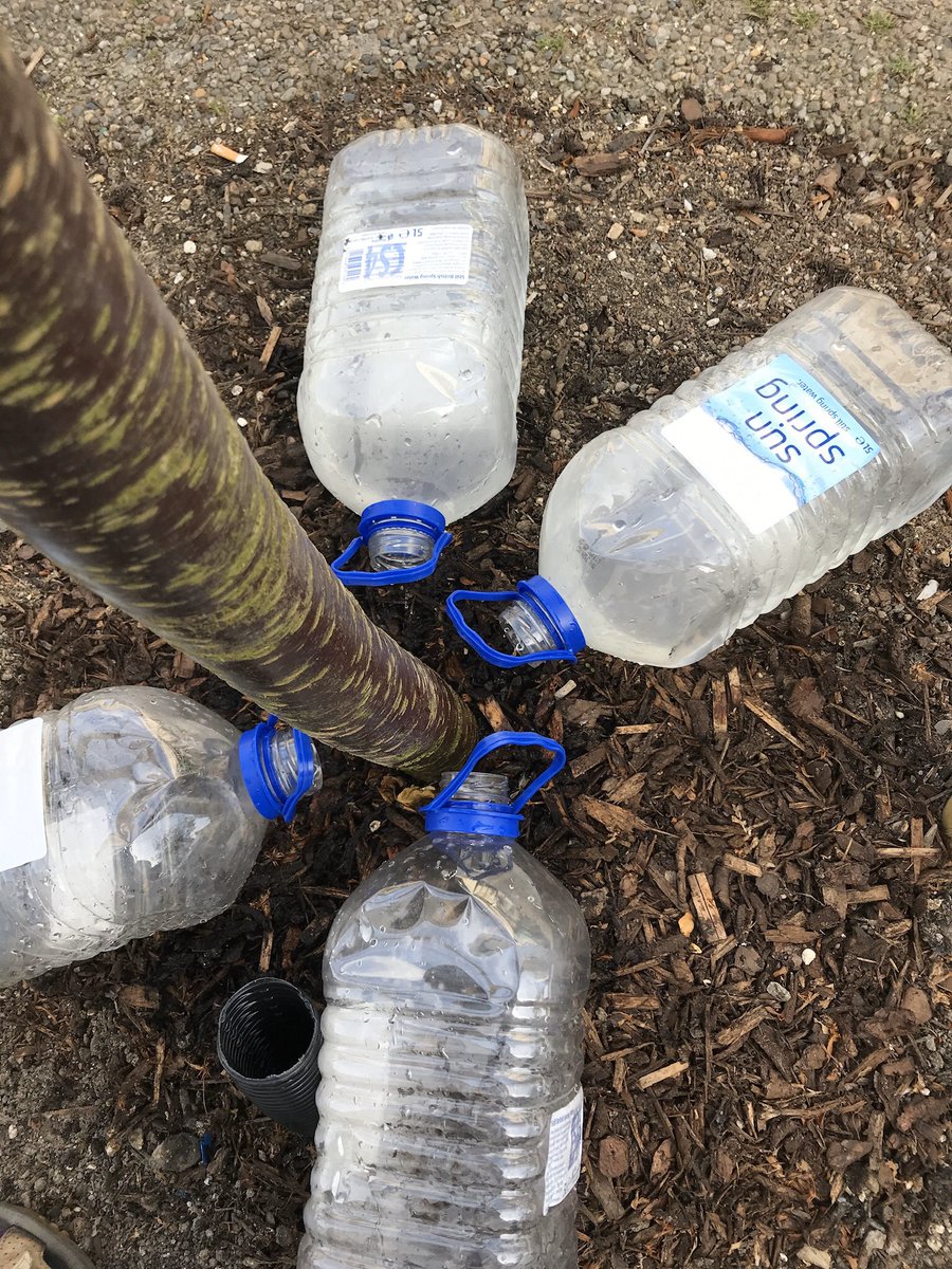 russell miller tweet media