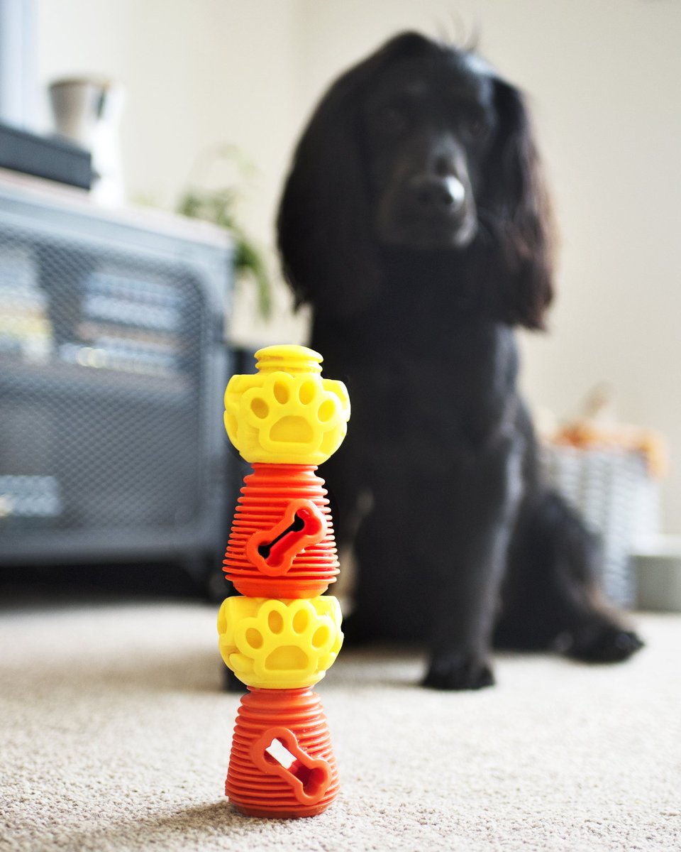 k9connectables's tweet photo. Looking for clever indoor dog toys? Look no further! #K9Connectables #Enrichtheirworld #Rewardingplayfordogs https://t.co/xVREguCwQi