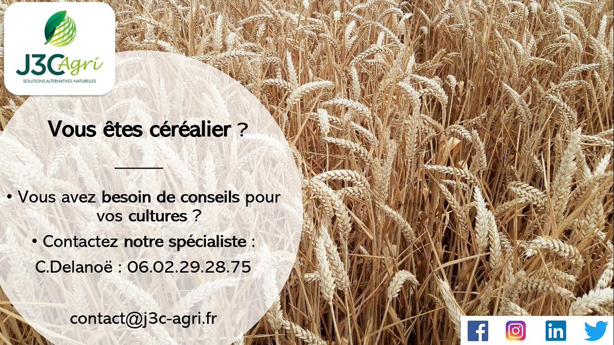 AurelienDelanoe's tweet photo. ➡️ J3C vous conseil, contactez notre spécialiste 🌽🌻🌿

#agriculture #biologique #20ans #savoirfaire #conseils #biostimulant #biocontrôle #agriworld #zeroresidus #blé #colza #betterave #maïs #pommedeterre #grandescultures #céréaliers https://t.co/XAxj2cM0Lu
