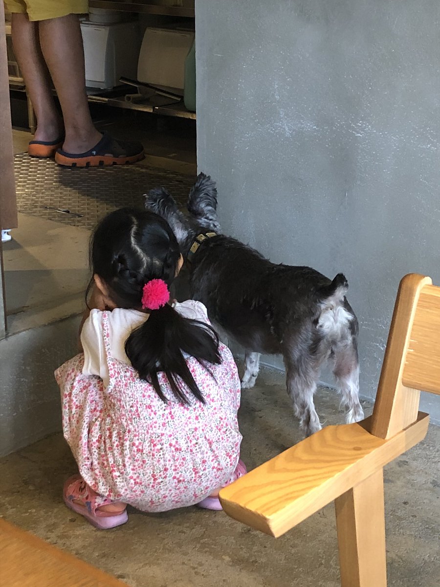 yusuke_miraizu's tweet photo. 58号線にある行きつけのカフェ
看板犬モカがお出迎え。
ブラウニー美味しかった〜
お皿洗いを見る、モカと娘…笑
#こどもの日 #cafevg #犬 https://t.co/1rFMwojPUU