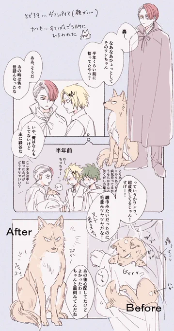 とどろき家にきて毛艶よくなったけど飼い犬扱いはされたくないカッチャン(ハロパロ) 