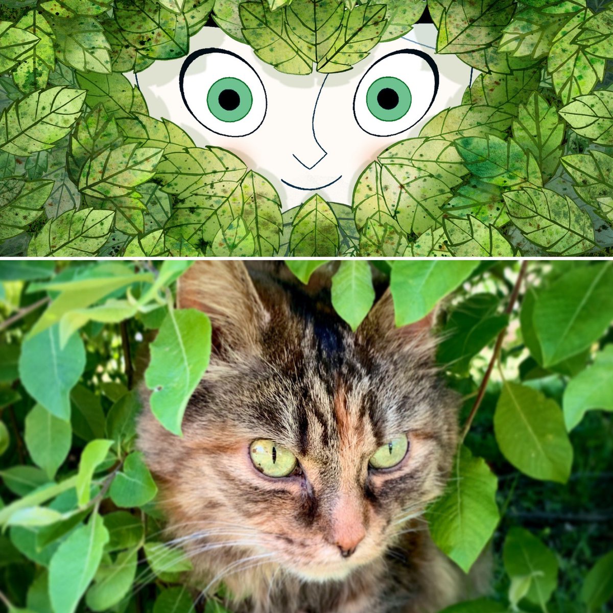 CandiceUX's tweet photo. Our cat Kibbles paying homage to Aisling from Secret of Kells @CartoonSaloon 😄 https://t.co/AcKv2s7VJ1