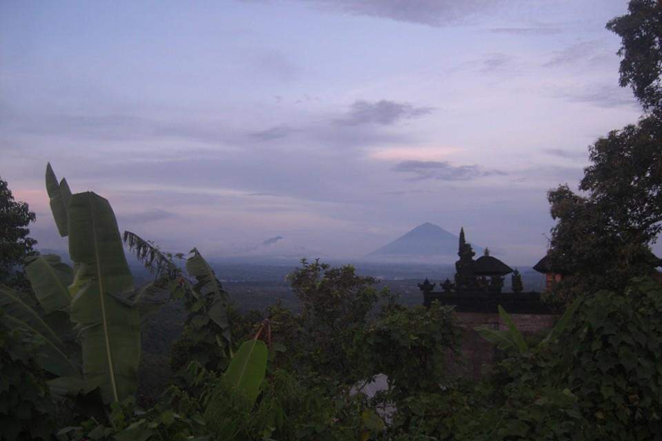 Mike　マイケル tweet media