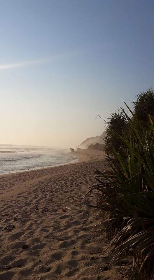 Mike　マイケル tweet media