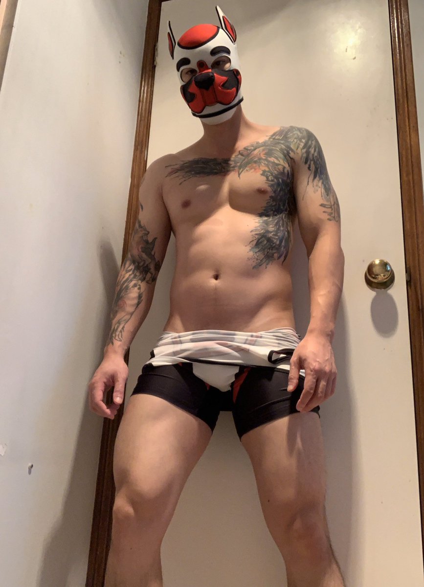 RykerWoof's tweet image. Come pin me down.