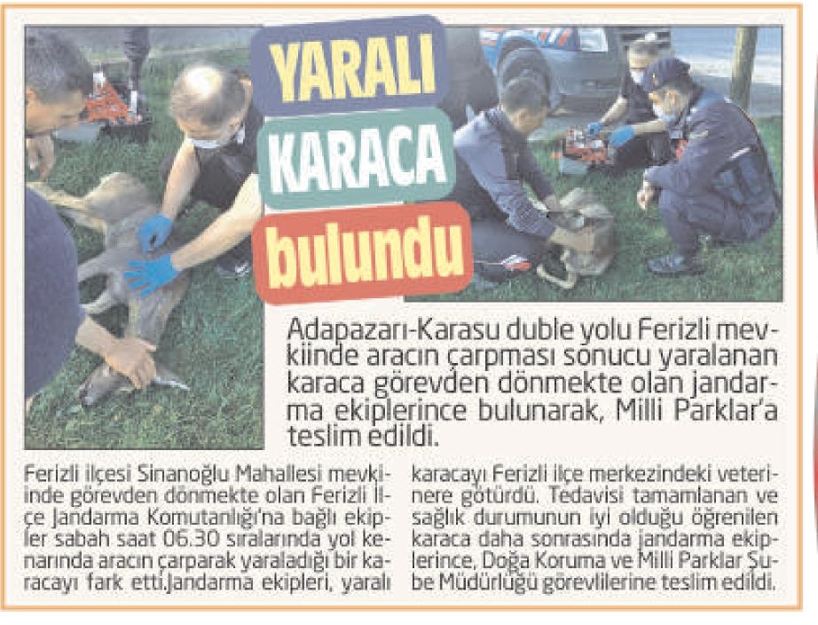 Karaca Flora 24 Parca Deri Kutulu Catal Kasik Bicak Takimi Fiyatlari Ozellikleri Ve Yorumlari En Ucuzu Akakce