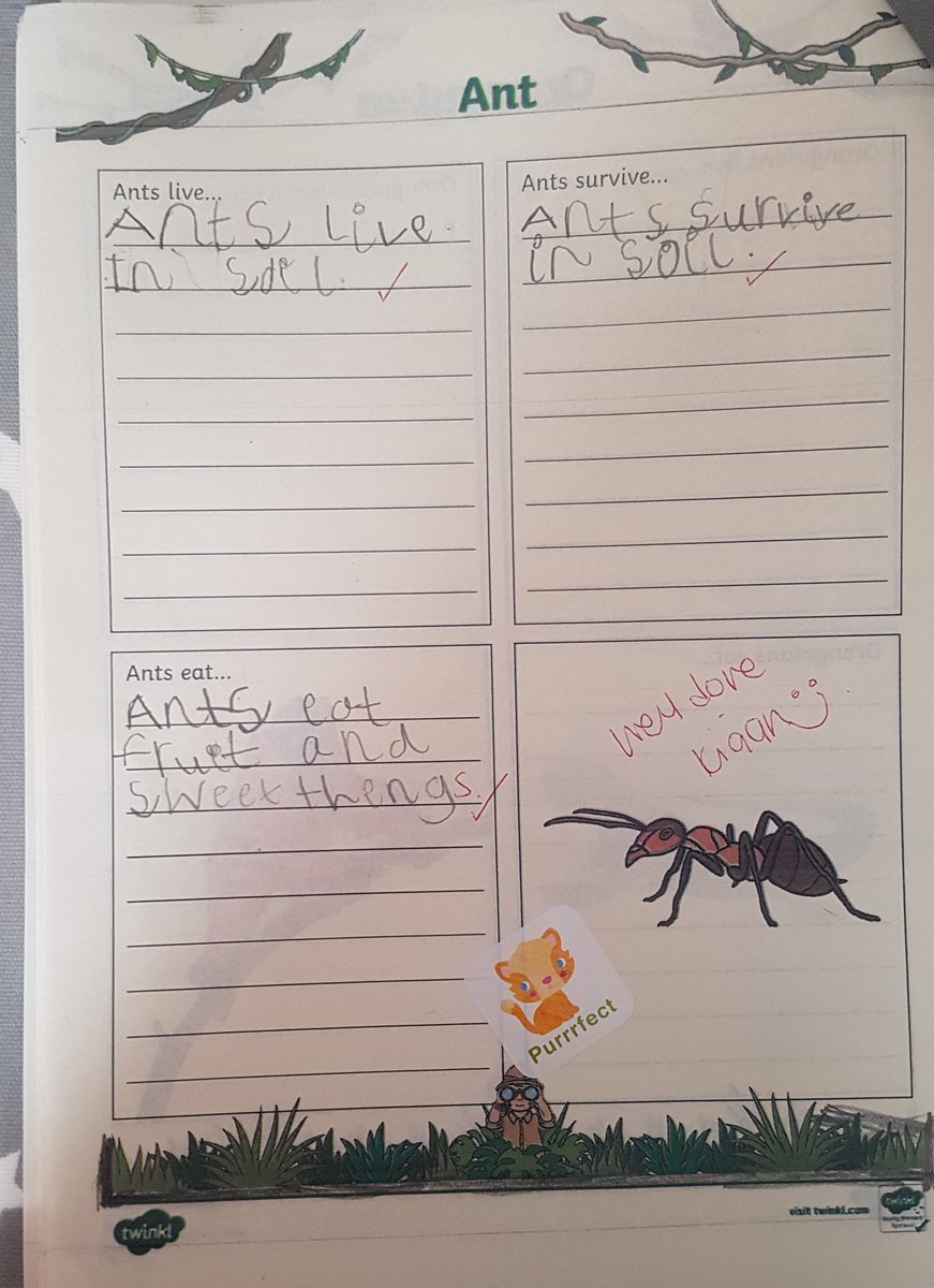 Skilpz's tweet photo. @WhitehallPriSch #homelearning #dragonflies #seahorses Eashan &amp; Kiaan trying their best with the home packs :) https://t.co/0ki8BLUQKA