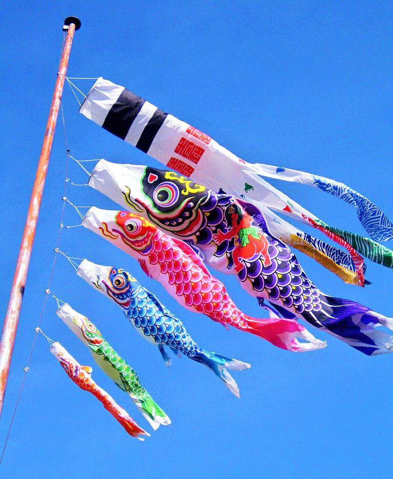 花 こどもの日 こいのぼり 屋根より高い こいのぼり 大きいまごいは お父さん 小さいひごいは 子供たち おもしろそうに 泳いでる 4時 ﾅｴ こどもの日