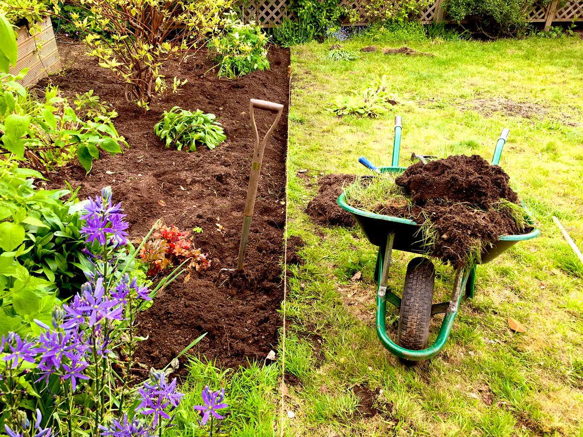 RFDReynolds's tweet photo. Redefining the edge of a mixed border, digging out old ivy roots and renewing the planting. https://t.co/gYmnpKRb6Y