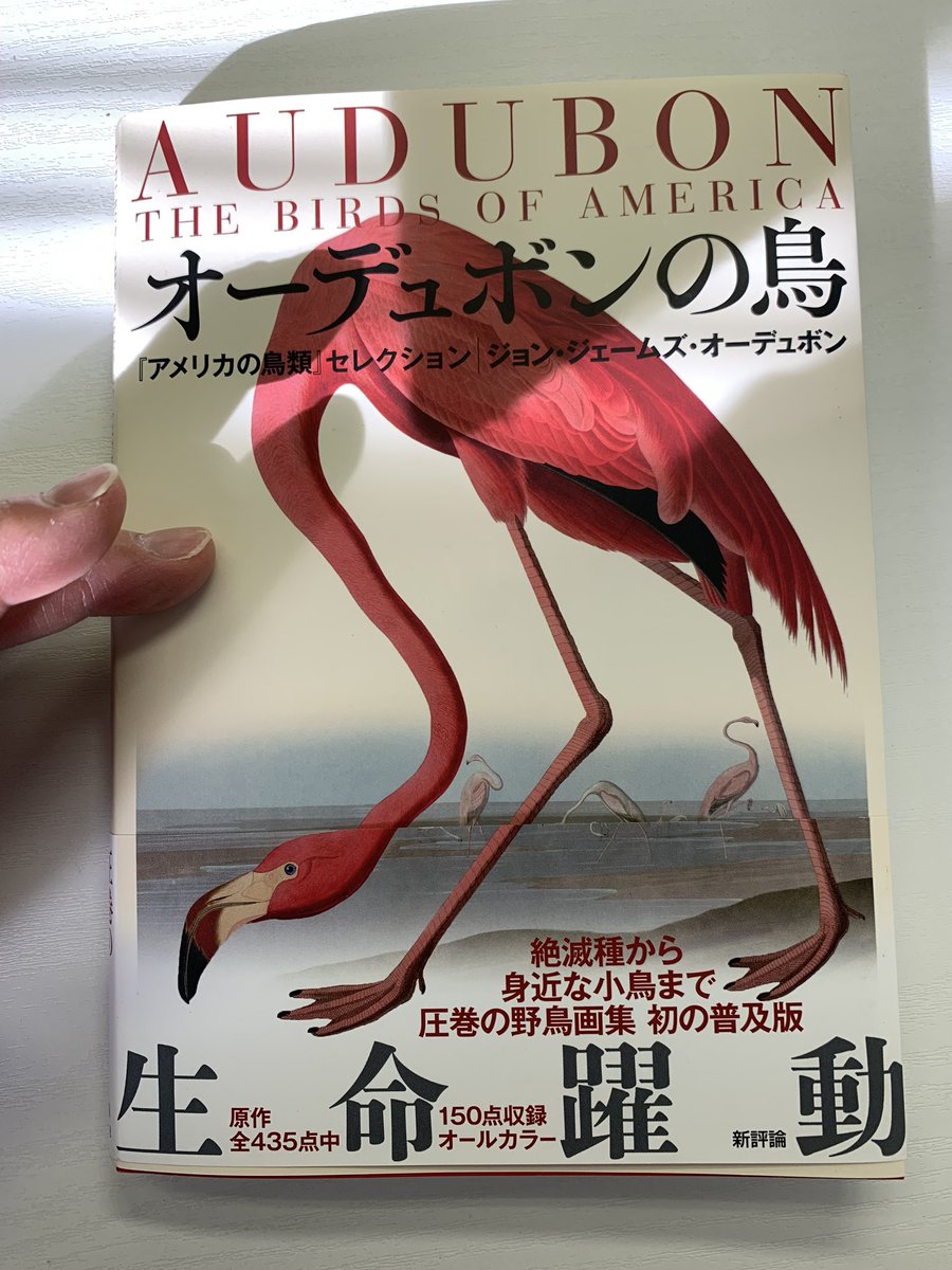 ジョン・ジェームズ・オーデュボン『オーデュボンの鳥』(新評論