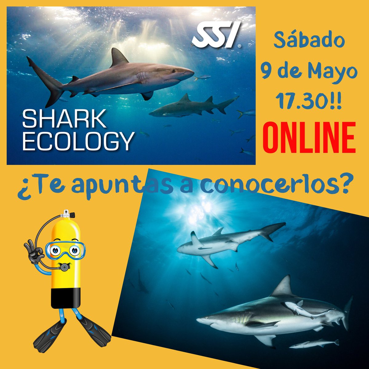AtlantisLZT's tweet photo. 🦈¿¿QUIERES CONOCER MUCHO MEJOR A LOS TIBURONES???🦈
Déjanos que unos auténticos apasionados de los tiburones y de los #SharkTrips te hablen de ellos:
🐟🐠 Curso Ecología de Tiburones SSI.
 #wearessi #enjoylearndive #lovesharks #buceolanzarote #aprovechalaocasión https://t.co/l5f8yoFH9I