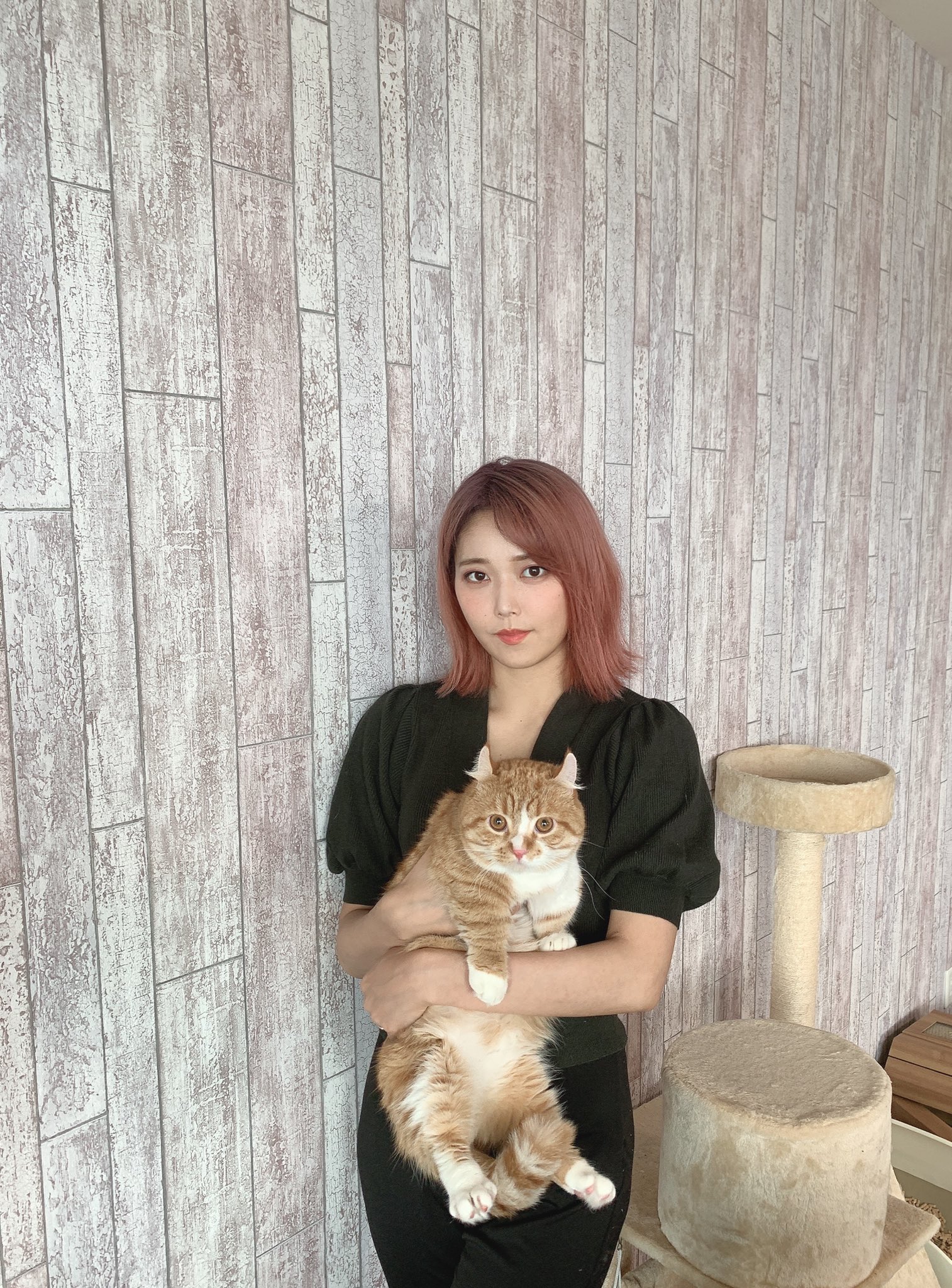 原田まりる アラデレ発売中 無事退院しました ご心配くださった皆様ありがとうございました 不安感もありましたが メッセージをいただけてとても励まされました 入院前死にそうになりながら 頑張って髪染めた髪色を見ていただけ 原田まりる アラデレ発売中 無事退院しました ご心配くださった皆様ありがとうございました 不安感もありましたが メッセージをいただけてとても励まされました 入院前死にそうになりながら 頑張って髪染めた髪色を見ていただけ